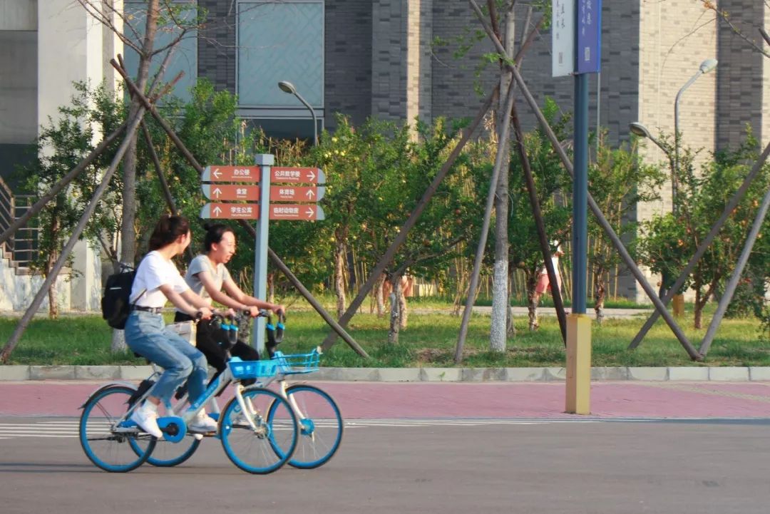 白露时节秋意浓金风玉露喜相逢,金风玉露七夕相遇