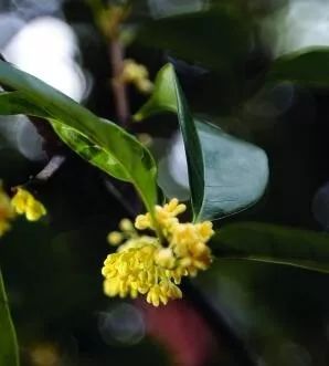 31℃！今天都白露了！还有这件大事别忘了……