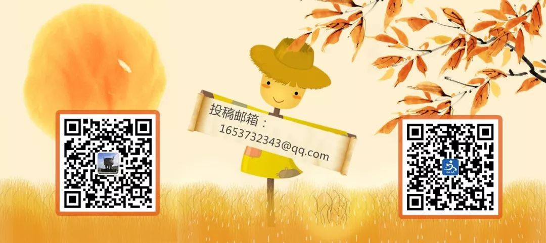 丰收节即将开始,农民丰收节即将开幕