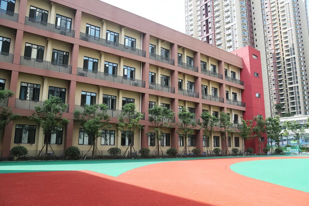 你好新学期视频怎么看,你好新学期视频观看记录