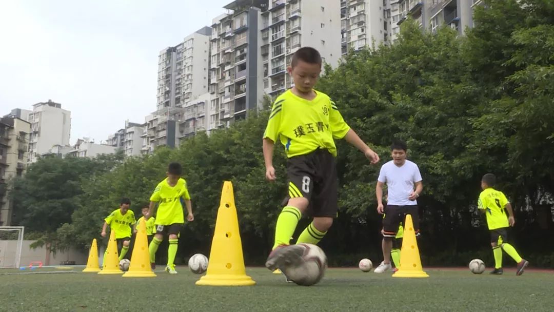 你好新学期视频怎么看,你好新学期视频观看记录