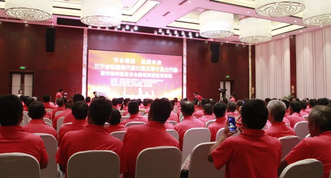 生姜种植增产妙招,种植一亩生姜要多少钱的化肥