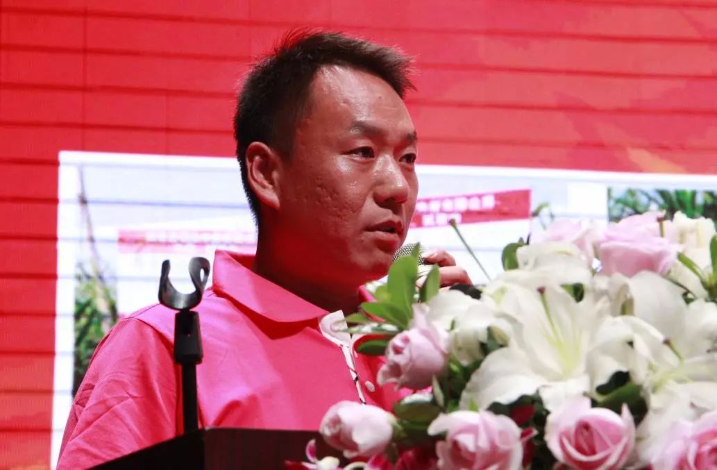 生姜种植增产妙招,种植一亩生姜要多少钱的化肥