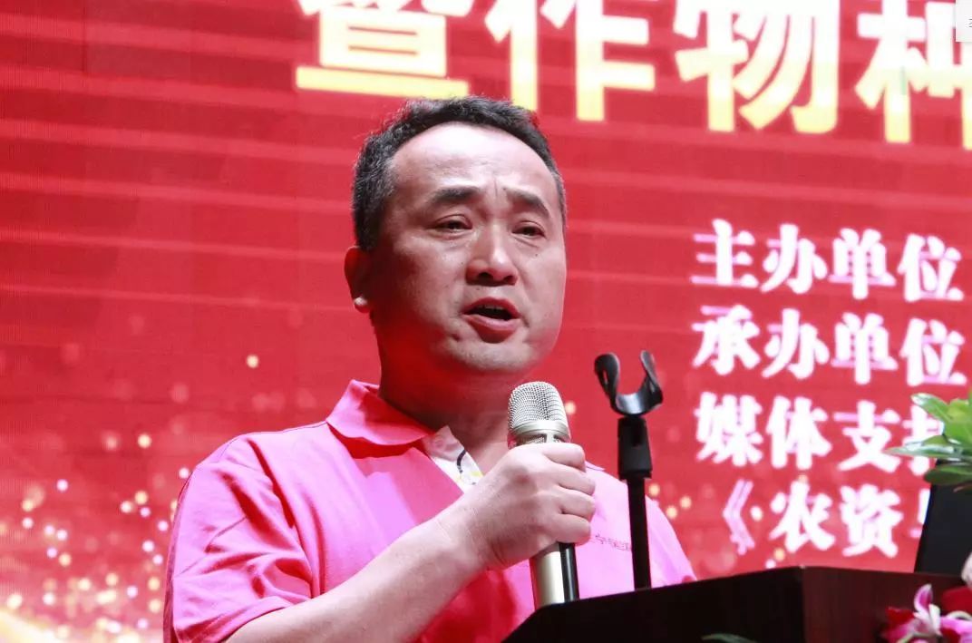 生姜种植增产妙招,种植一亩生姜要多少钱的化肥