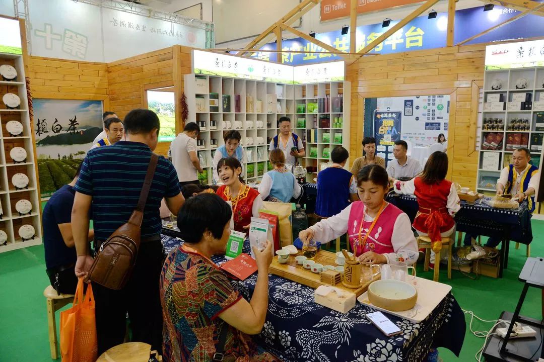 寮犲鐣岀殑绁炲妞嶇墿,寮犲鐣屾爲鍙惰尪