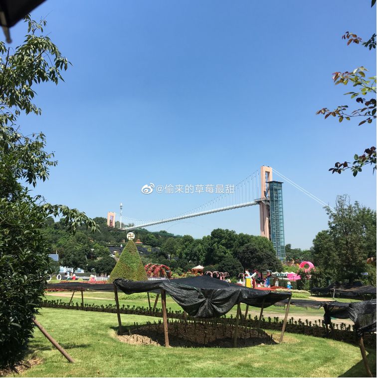 成都有没有玻璃栈道景点,成都最长的玻璃栈道