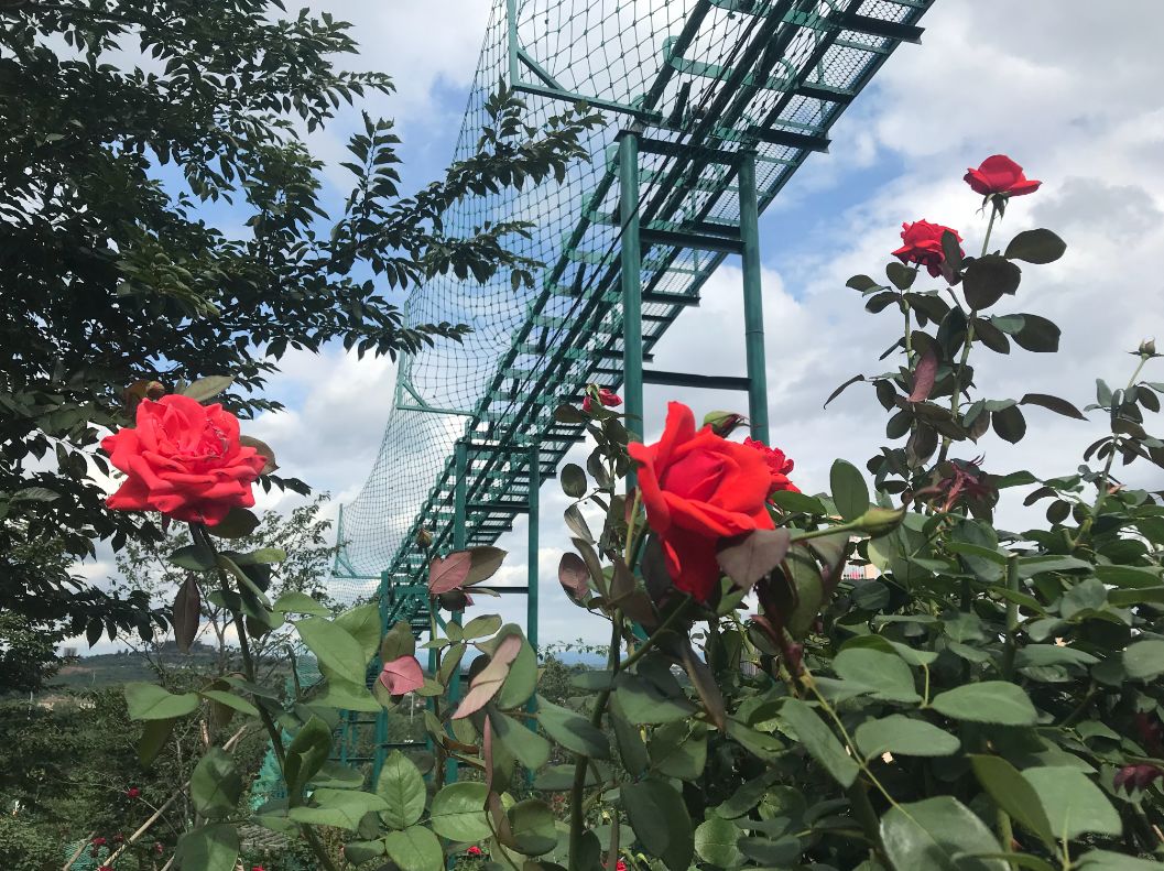 成都有没有玻璃栈道景点,成都最长的玻璃栈道