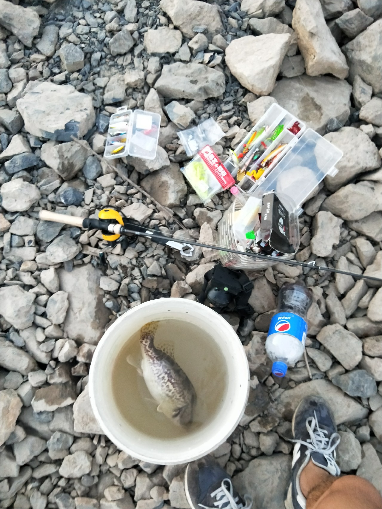 小白长江边路亚表演,现场练习绑8字环