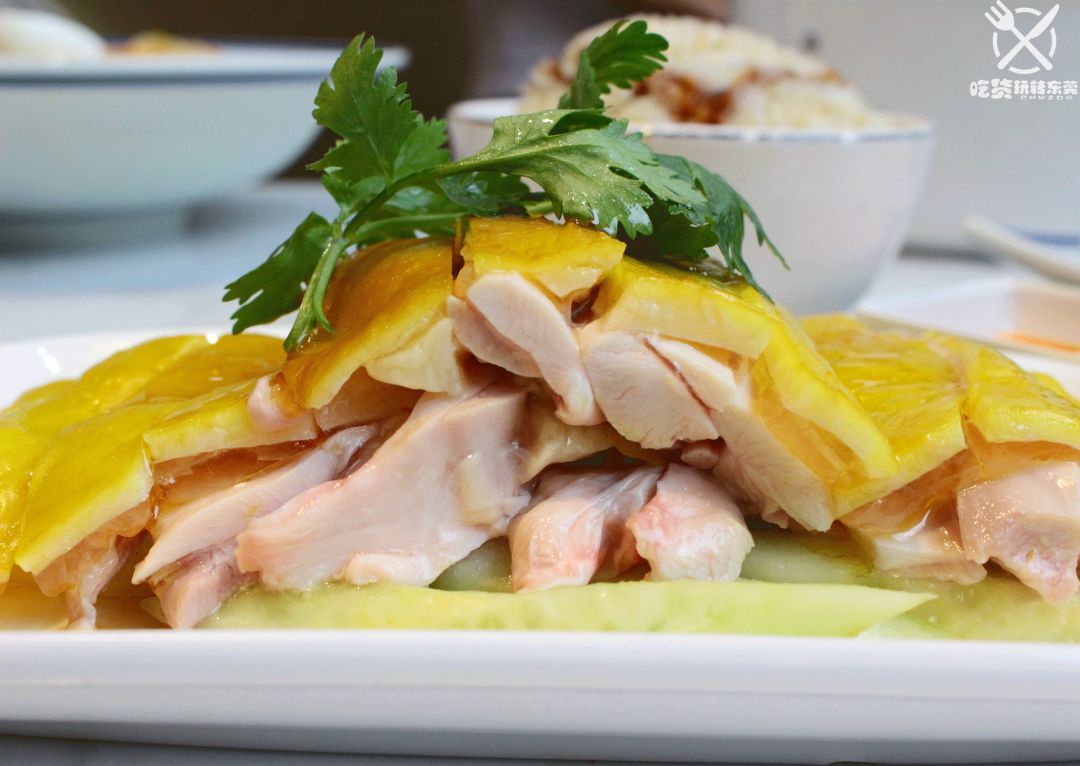 鸡苗高口碑店铺,口碑好的优质鸡