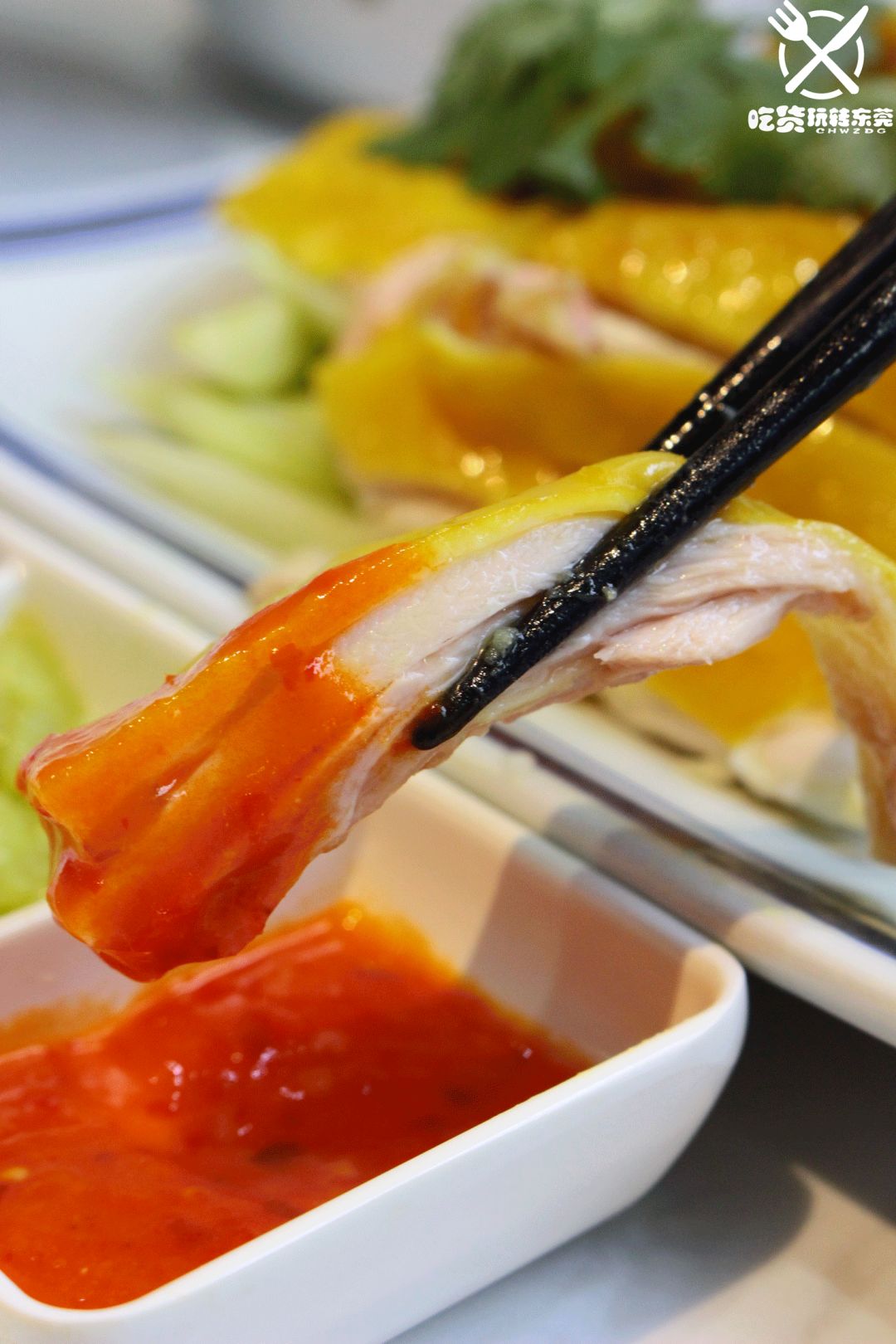 鸡苗高口碑店铺,口碑好的优质鸡