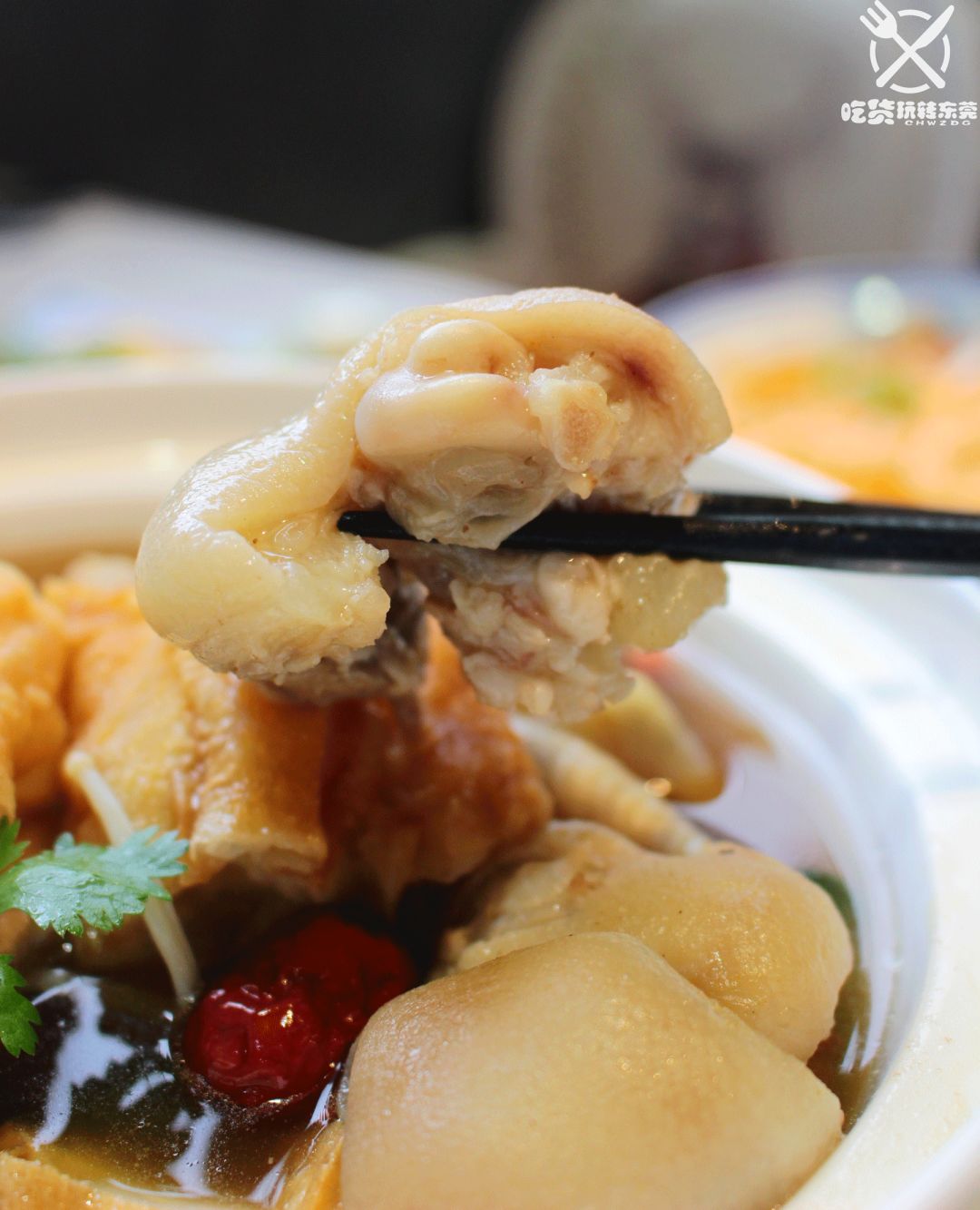 鸡苗高口碑店铺,口碑好的优质鸡