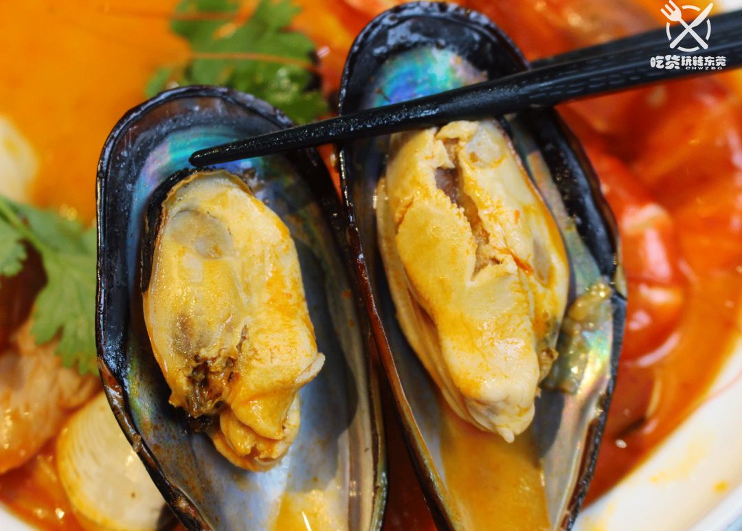 鸡苗高口碑店铺,口碑好的优质鸡