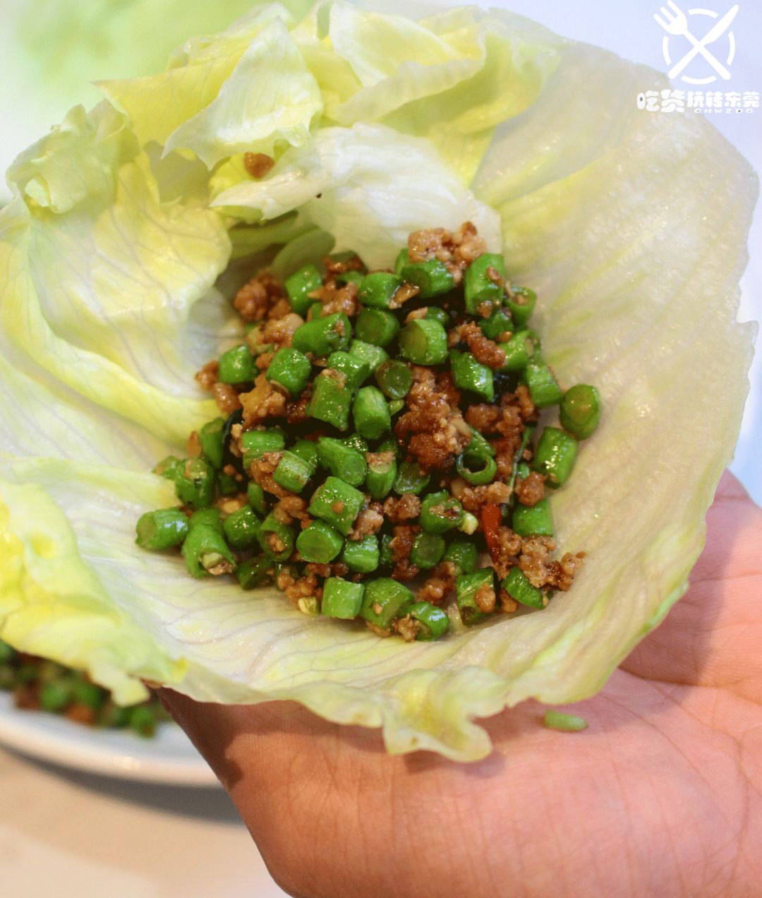 鸡苗高口碑店铺,口碑好的优质鸡