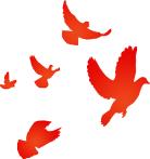 国庆专辑|爱国，让我们从爱护*旗国**做起！