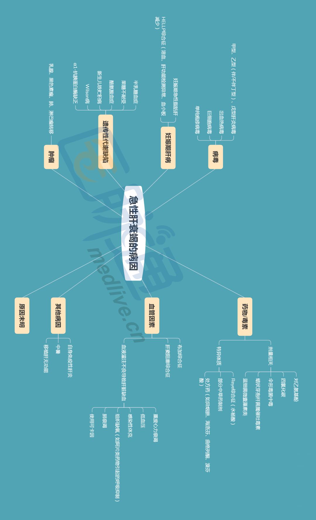 肝功能衰竭的表现及治疗措施,急性肝功能衰竭一般多久恢复正常