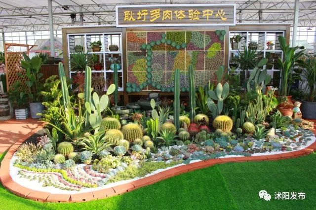 娌槼鏃呮父璺嚎鎺ㄨ崘,姹熻嫃娌槼鏃呮父鏀荤暐璺嚎