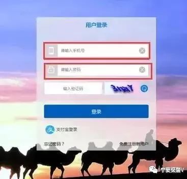 宁警通可以用吗,扩散是不是无视护盾