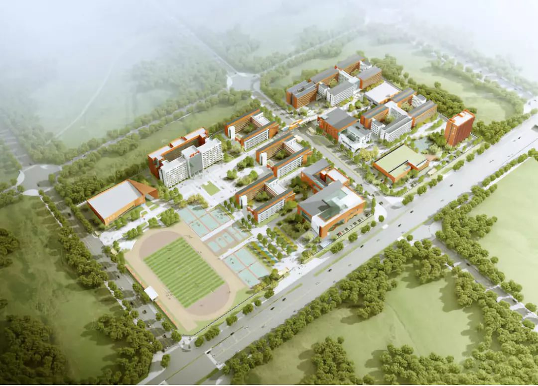 初秋，走进合肥醉美校园