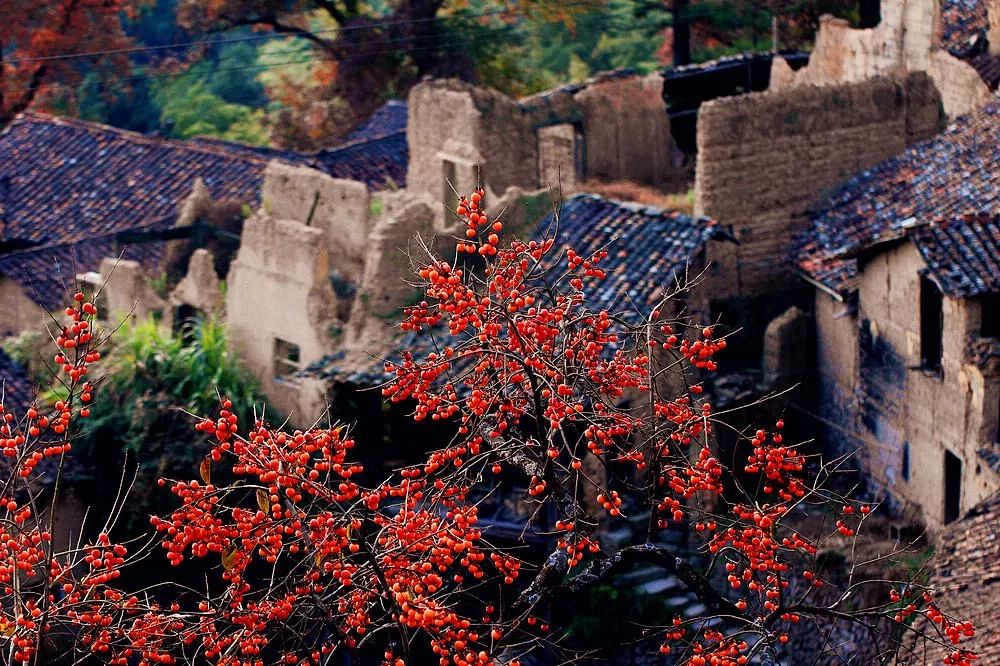 十一长假不出北京自驾旅游攻略,假期自驾游十大必备