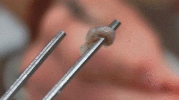 闊╁浗娣卞缇庨鏀荤暐,闊╁浗澶滄櫄缇庨鏀荤暐