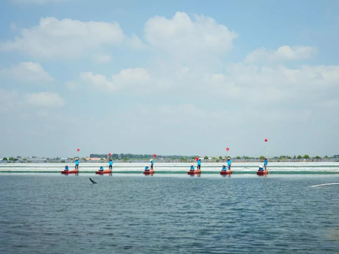 大闸蟹好的蟹黄口感怎么样,这大闸蟹真新鲜咬一口全是蟹黄