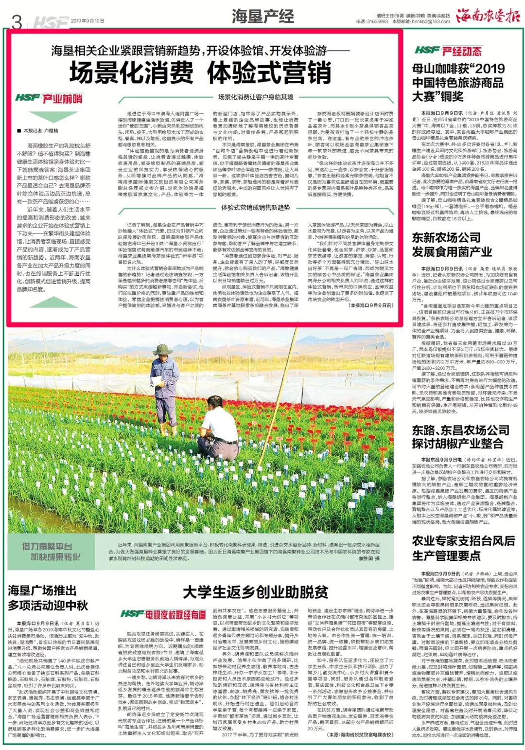 体验营销的五个维度,体验营销新概念