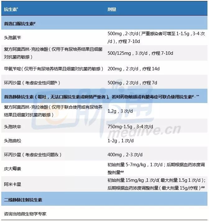 肾盂肾炎用药全攻略,肾盂肾炎药物治疗