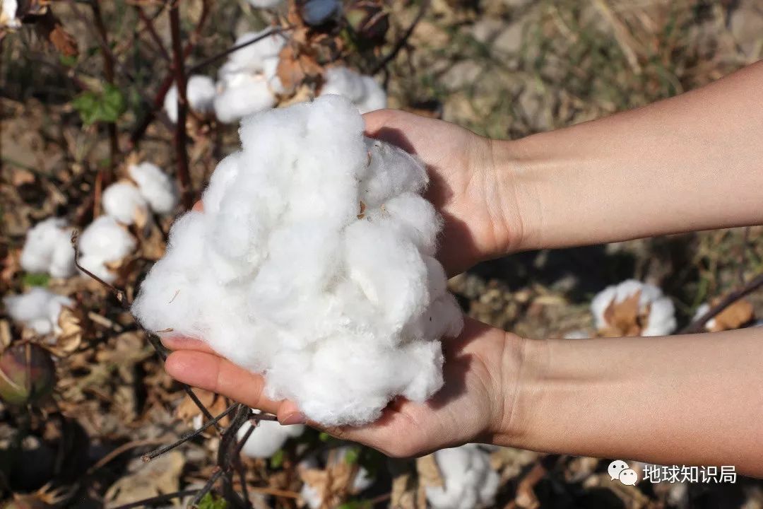 铁路未来会怎样,铁路怎么改造