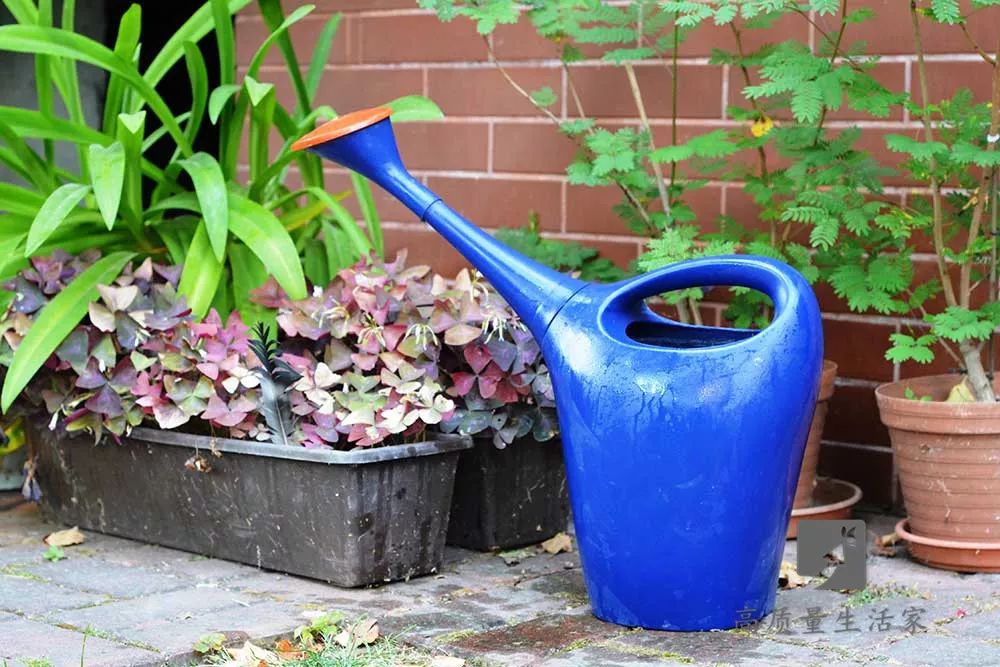 白糖到底有多厉害,白糖为什么这么厉害呢