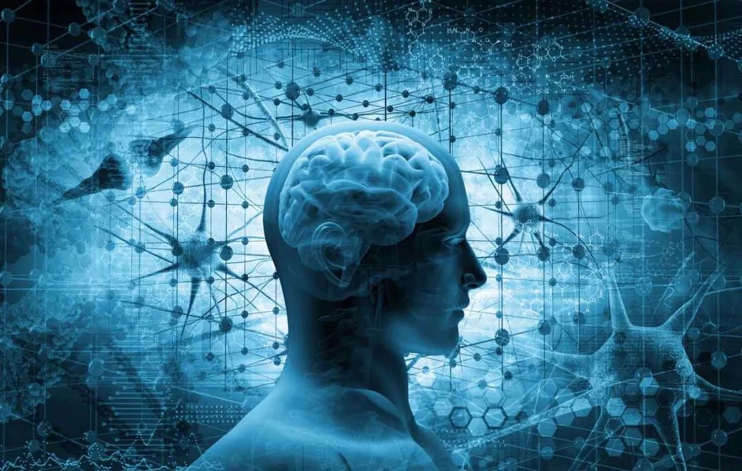 美妆品牌进中国、跃升印度第3大电商、布局生物医疗……22个进阶与5点思考|峰瑞黑板报·9月