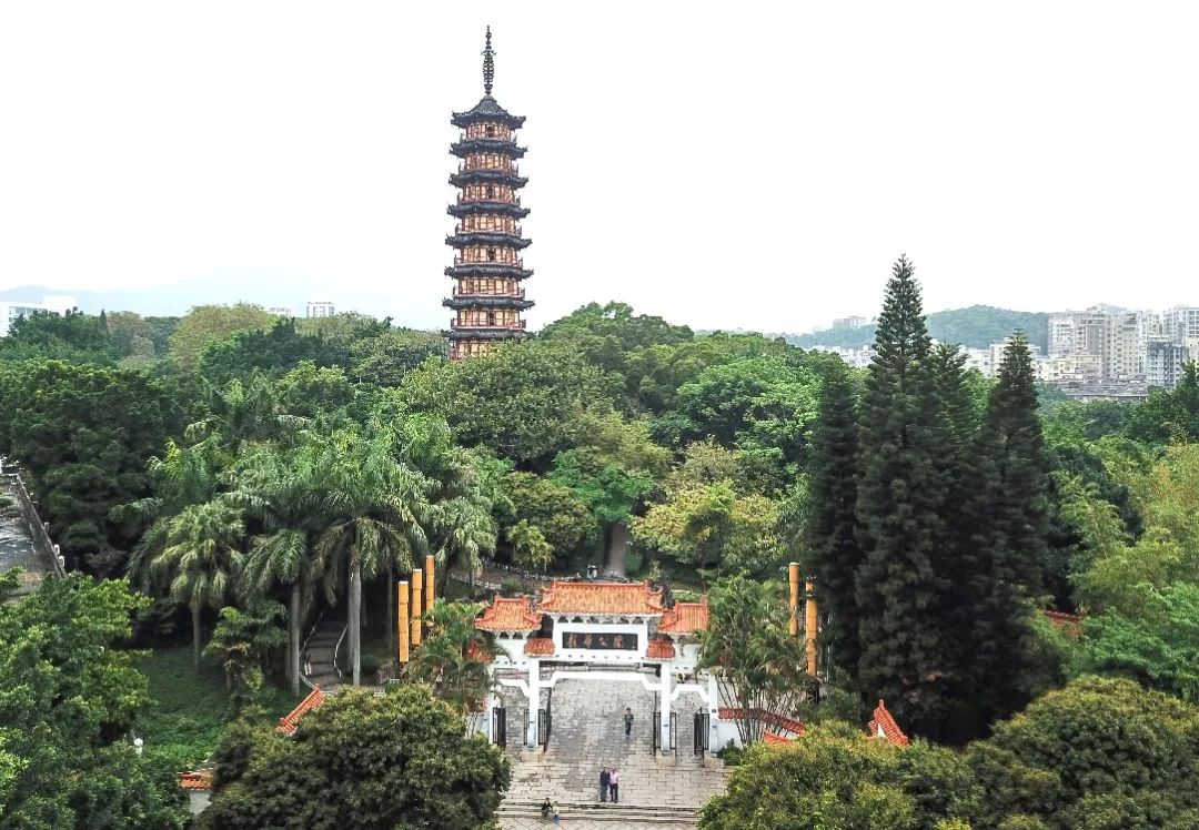 龙华三和旧改范围,龙华三联社区改造