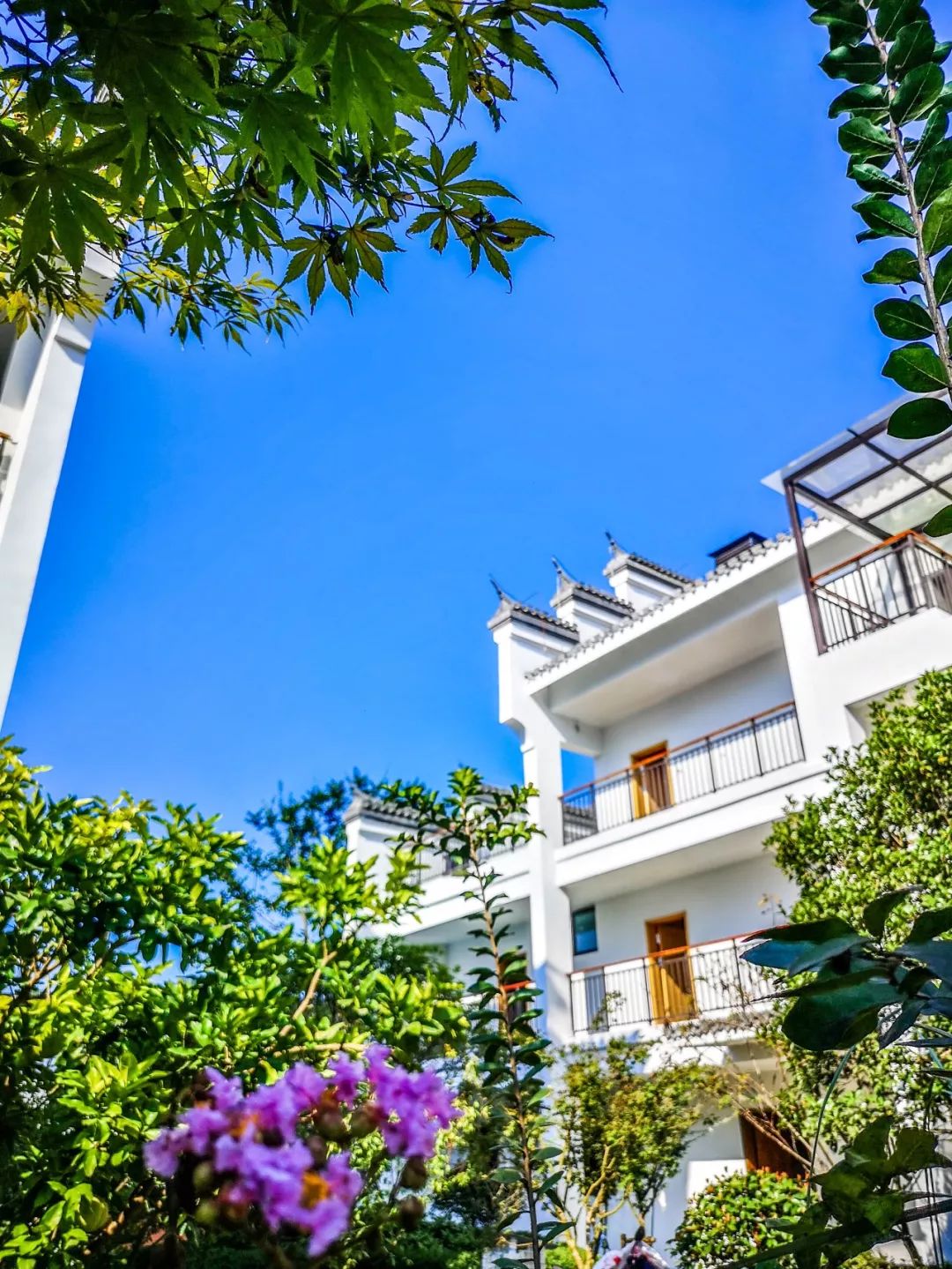 婺源景区排名前十的酒店,婺源度假酒店推荐