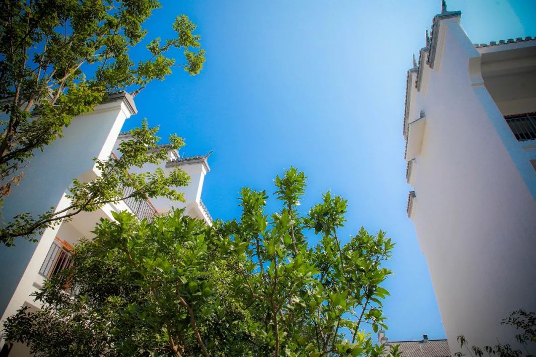 婺源景区排名前十的酒店,婺源度假酒店推荐