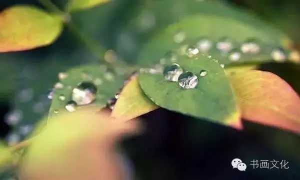 白露塘杀猪粉做法,白鹭杰哥