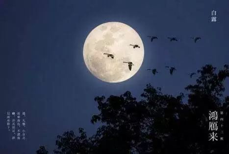 白露塘杀猪粉做法,白鹭杰哥