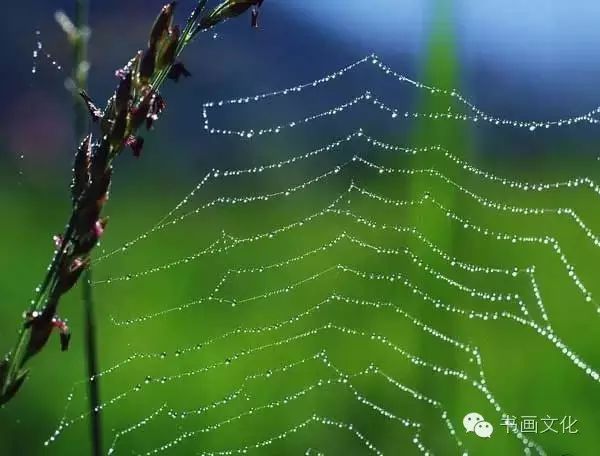 白露塘杀猪粉做法,白鹭杰哥