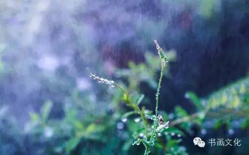 白露塘杀猪粉做法,白鹭杰哥