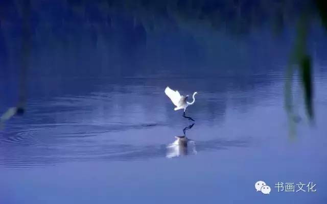 白露塘杀猪粉做法,白鹭杰哥