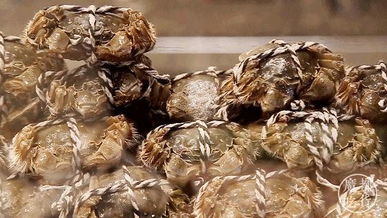 广州酒店大螃蟹帝王蟹,五星级酒店怎么吃大闸蟹