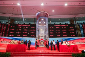 保险行业细分龙头,中科软保险