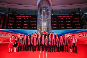 保险行业细分龙头,中科软保险