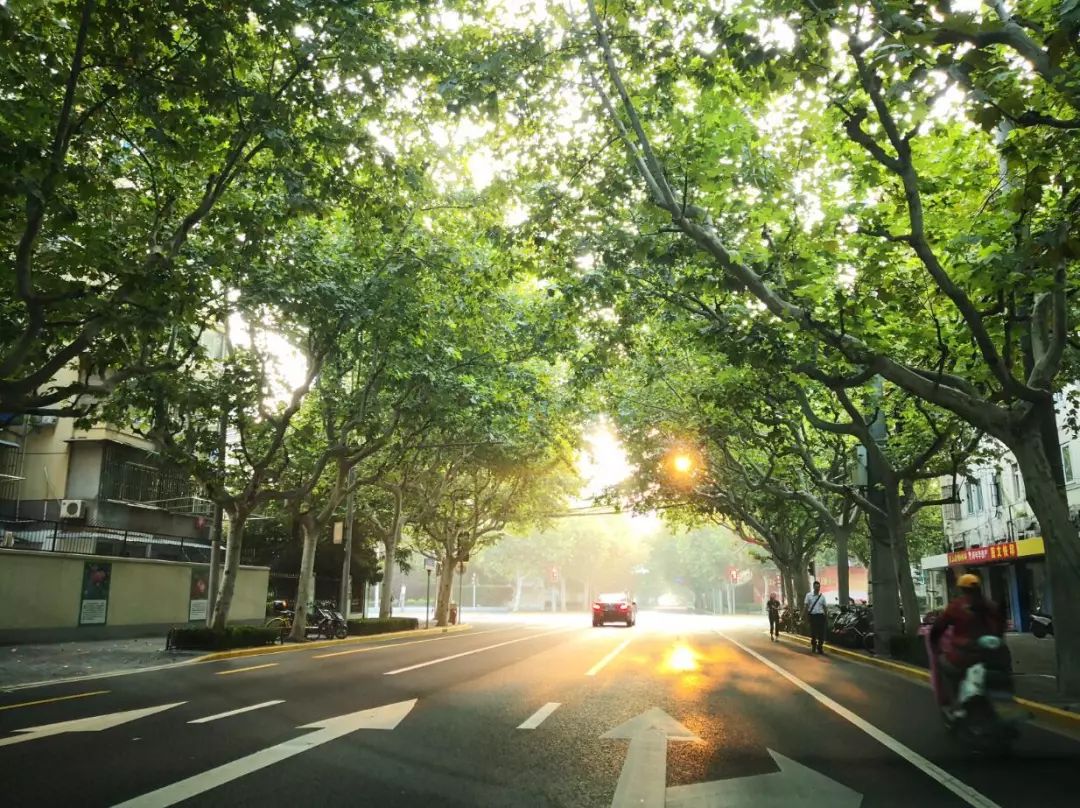 美美哒景观路,美美哒一道绚丽的风景线
