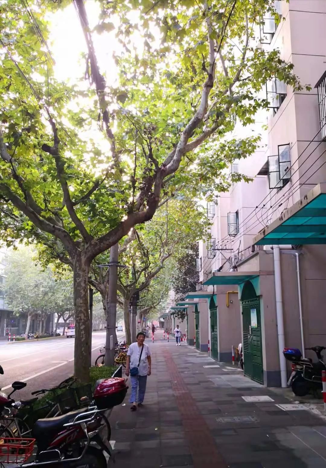 美美哒景观路,美美哒一道绚丽的风景线