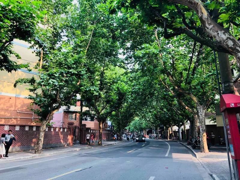 美美哒景观路,美美哒一道绚丽的风景线