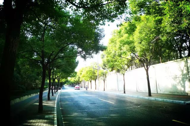 美美哒景观路,美美哒一道绚丽的风景线