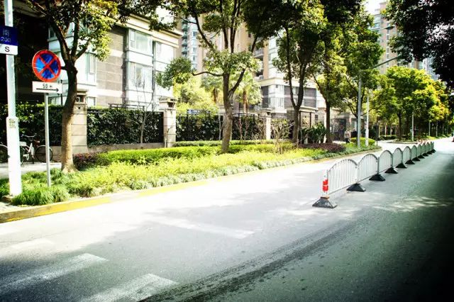 美美哒景观路,美美哒一道绚丽的风景线