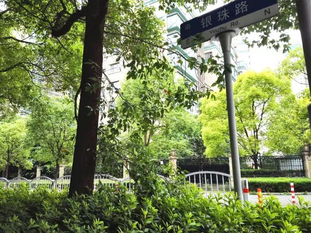 美美哒景观路,美美哒一道绚丽的风景线