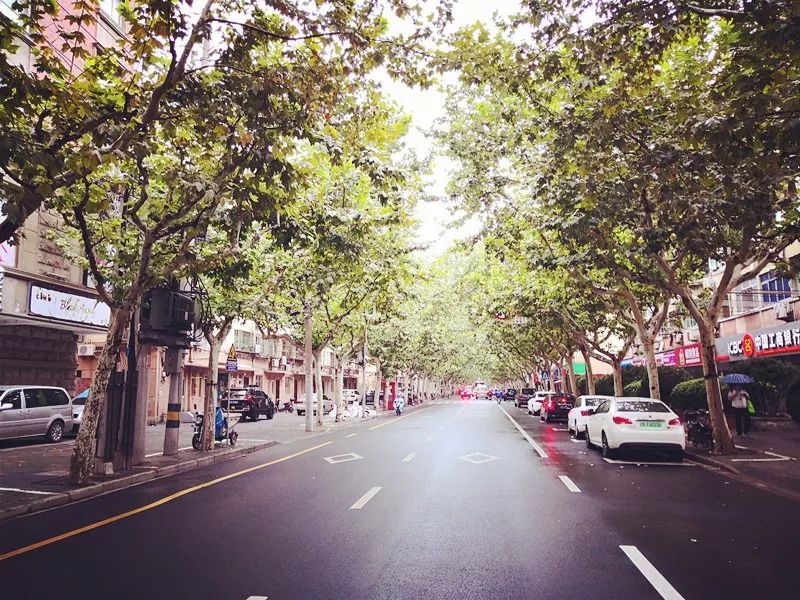 美美哒景观路,美美哒一道绚丽的风景线