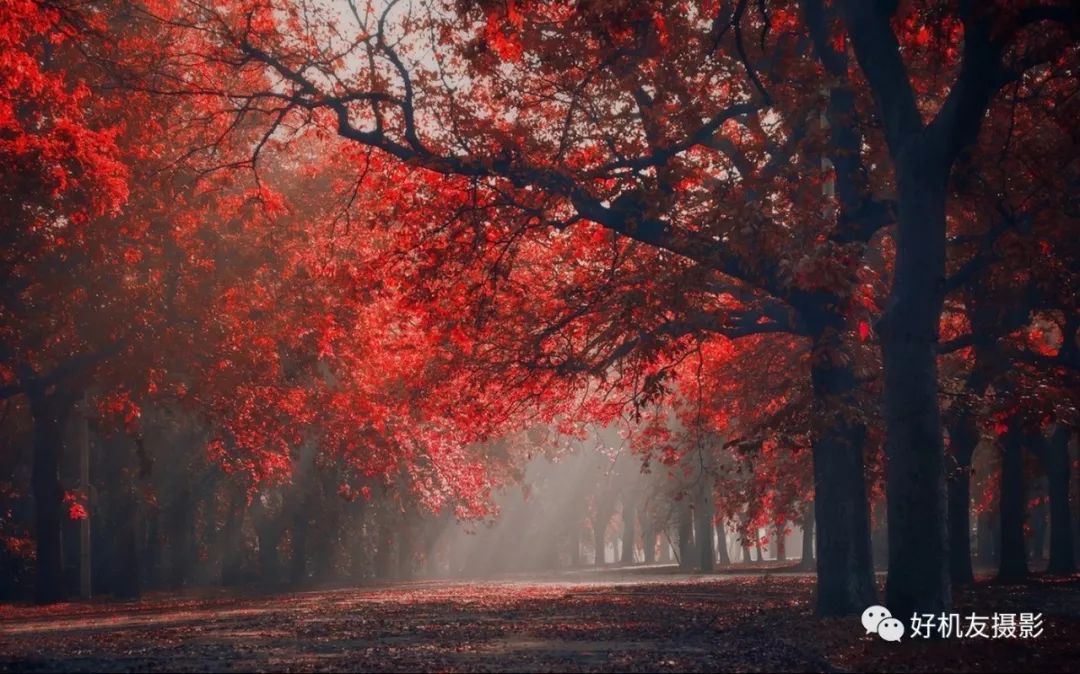 十种高级感摄影镜头,小众摄影入门必备镜头