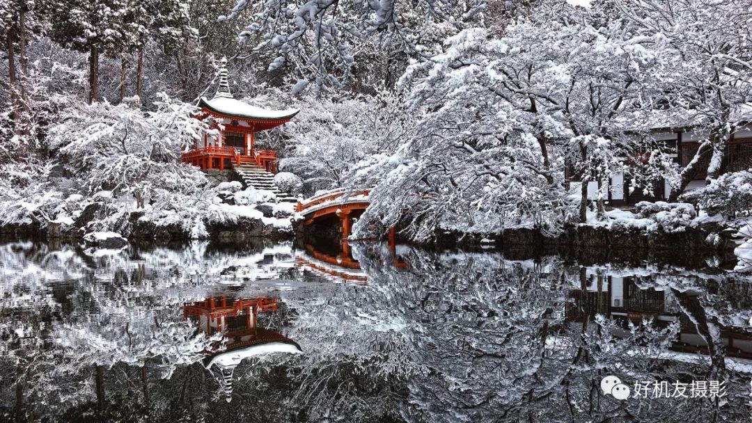 十种高级感摄影镜头,小众摄影入门必备镜头